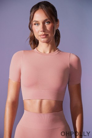 red Oh Polly dress - Define Luxe Baby Tee Crop Top in Dusty Mauve